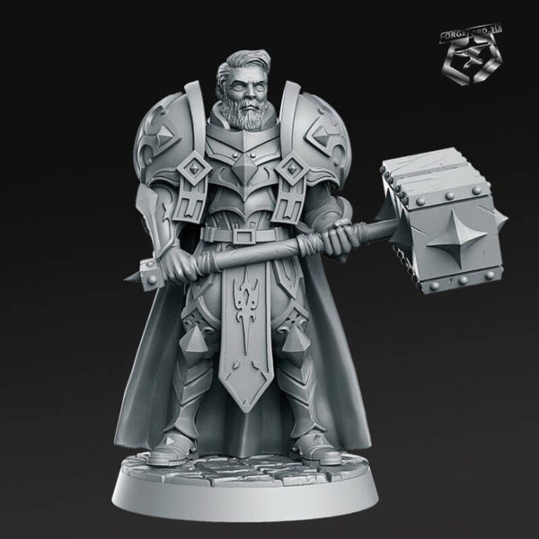 Sir-Warrick-RN-Estudio-the-royal-guard-collection-figurines-fantasy-tabletop-RPG-3D-miniatures