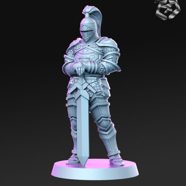 Aaron-RN-Estudio-the-royal-guard-collection-figurines-fantasy-tabletop-RPG-3D-miniatures