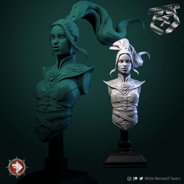 Air Master, bust 75mm - ForgeLord.3D Fantasy Miniatures